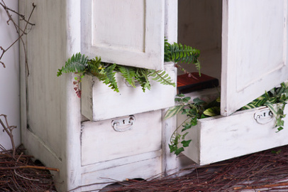 old decorated wooden white cupboard with plants